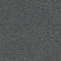E81