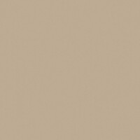 PANTONE 406C