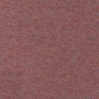 Wool 41 Sorbet