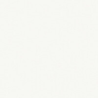Pure White RAL 9010