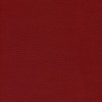 sk_F6461702