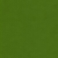 sk_F6461705