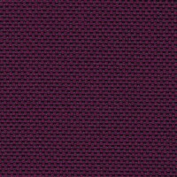 23 NOVUM viola