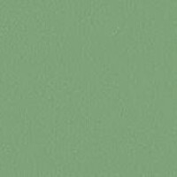 Salvia-Green RAL 6021