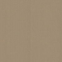 Polo Beige 6