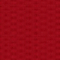 Polo Rosso 10