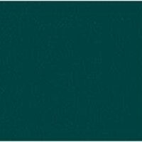 Deep green RAL 6004