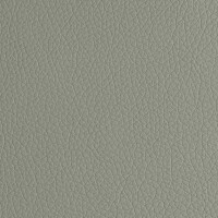 Arizona Light Grey