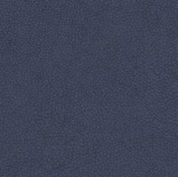 Elmotique leather 77875