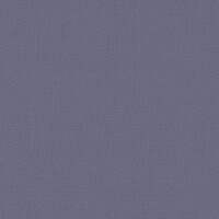 VIS017
