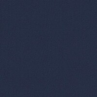 VIS025