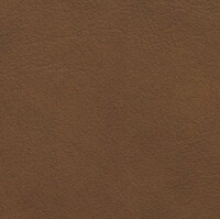 Paloma PL05429