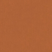 Elmotique leather 43807