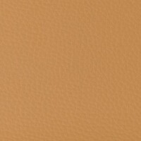 Canela
